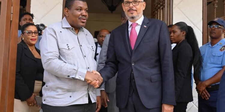 Haiti’s executive modifies electoral council mandate, election timeline to be revised 1 Haiti’s executive modifies electoral council mandate, election timeline to be revised