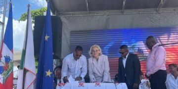 The European Union in action in the South