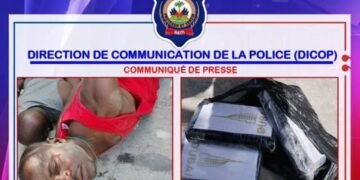South: two individuals arrested for drug trafficking