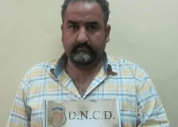 Assassination of Jovenel Moïse: key witness details alleged financing of the plot in Miami