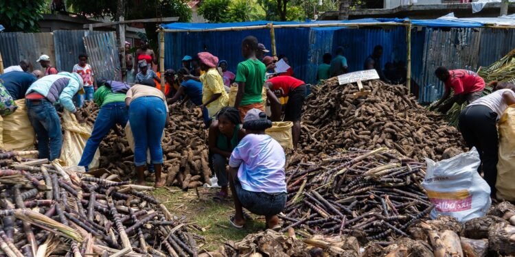 Limbé: Agricultural fair to boost productivity