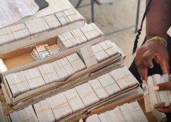 Identification: over 1,000 cards distributed in one day under “Kat Ou La” 4 Identification: over 1,000 cards distributed in one day under “Kat Ou La”