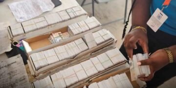 Identification: over 1,000 cards distributed in one day under “Kat Ou La”