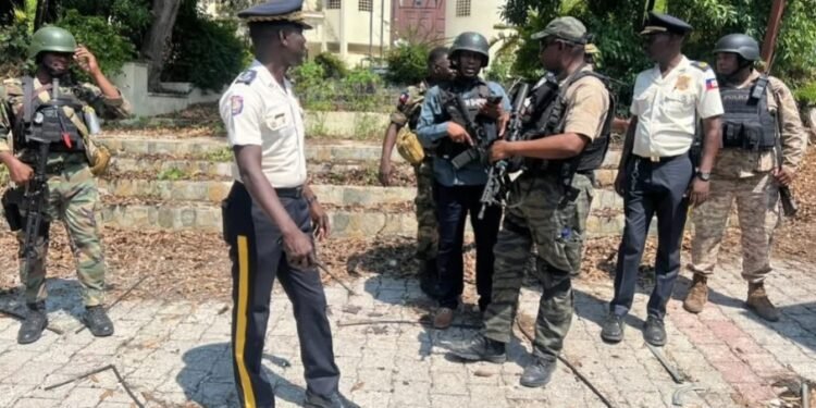 PNH chief conducts inspection visit in downtown area