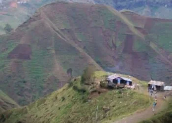 Sud-Est: armed attack leaves several dead in Seguin, police station set on fire