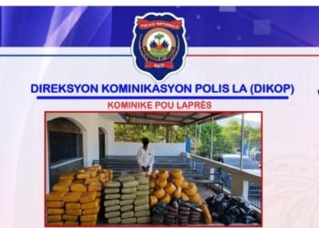 Golpe al narcotráfico: EE. UU. entrega a la policía de Haití más de 1.300 kilos de marihuana