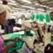 Government increases minimum wage