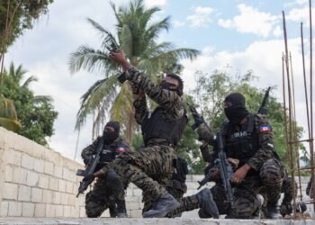 PNH mobilizes armored vehicles and specialized units amid violence in Cul-de-Sac Plain